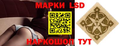 гашик Будённовск