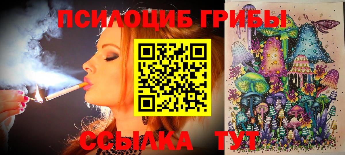 НБОМе Курчатов