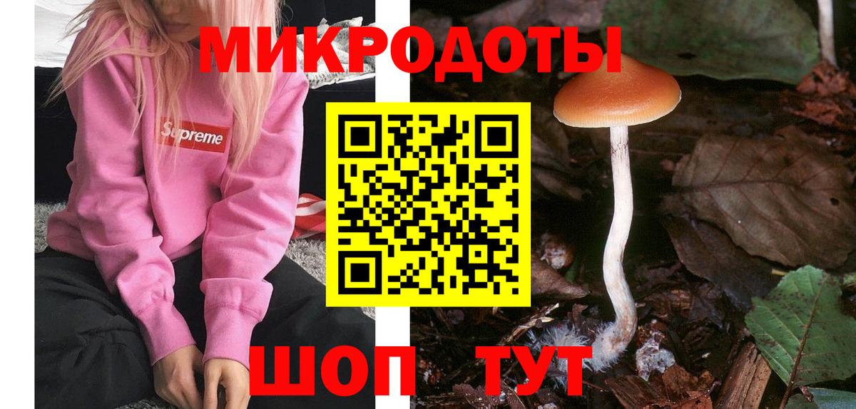 купить наркотики сайты  Галлюциногенные грибы Cubensis  Вход с VPN  Курчатов 